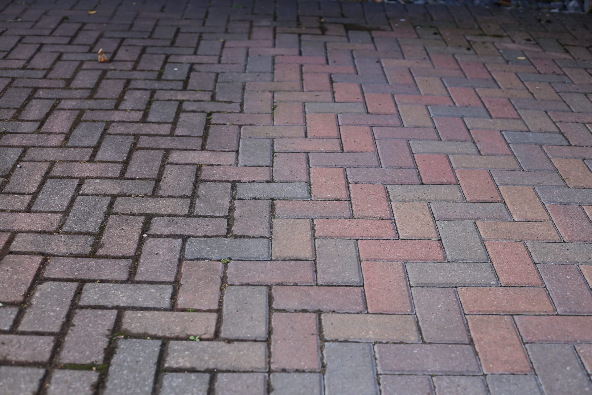Driveway Cleaning by Trade Safe Paving