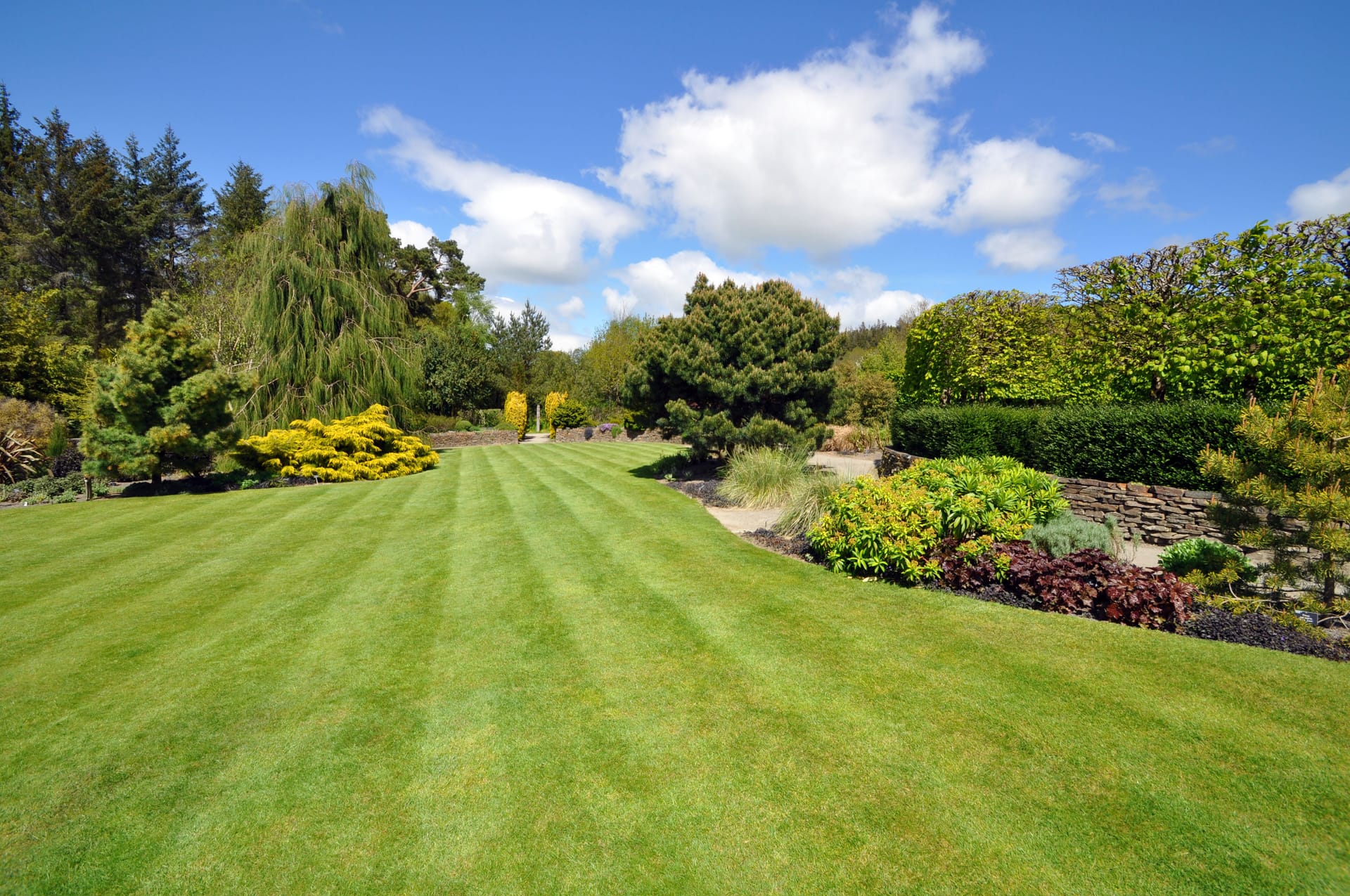 Turfing by Trade Safe Paving